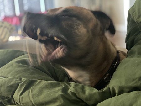 Entry image for Cambria. Clicking this image will show a larger photo