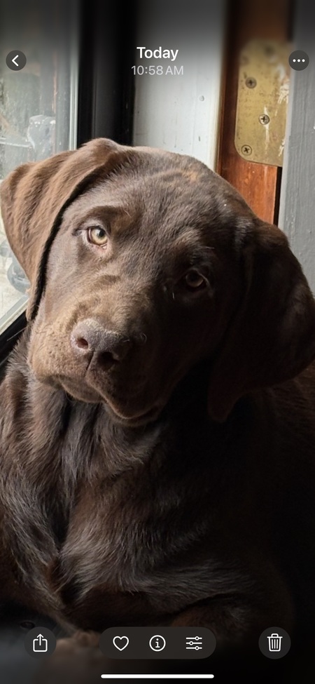 Entry image for Big Country. Clicking this image will show a larger photo