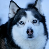 Entry image for Kiki Girl