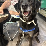 Entry image for Thor 