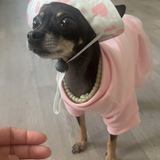 Entry image for Luna