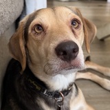 Entry image for Wallen