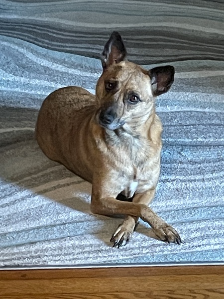 Entry image for Tia. Clicking this image will show a larger photo