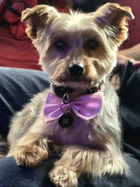 Entry image for Idieh. Clicking this image will show a larger photo