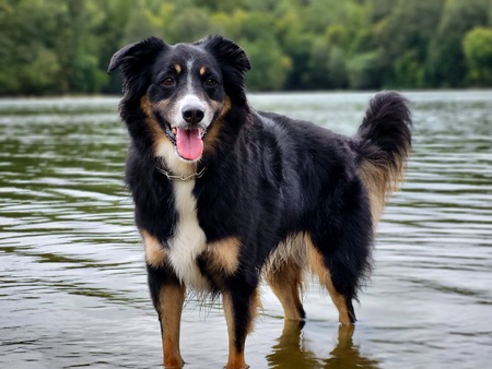 Entry image for The Woo. Clicking this image will show a larger photo