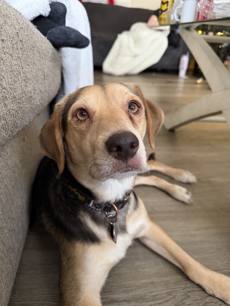 Entry image for Wallen. Clicking this image will show a larger photo