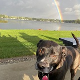 Entry image for Bailey