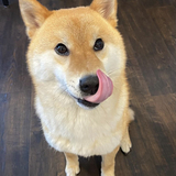 Entry image for Hops