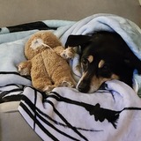 Entry image for Mariah