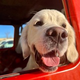 Entry image for Neil