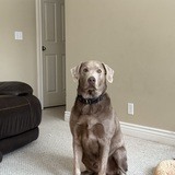 Entry image for Jimmy Butler