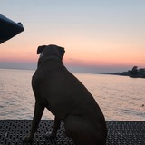 Entry image for Boots