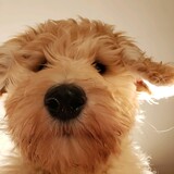 Entry image for Ellie