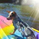 Entry image for Oban Green