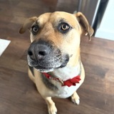 Entry image for Oakley