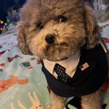 Entry image for Murray 