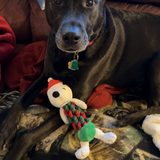 Entry image for Lucy