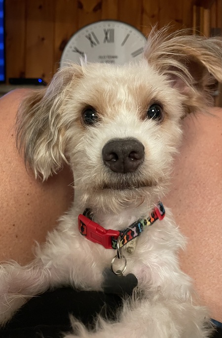 Entry image for Muggle. Clicking this image will show a larger photo