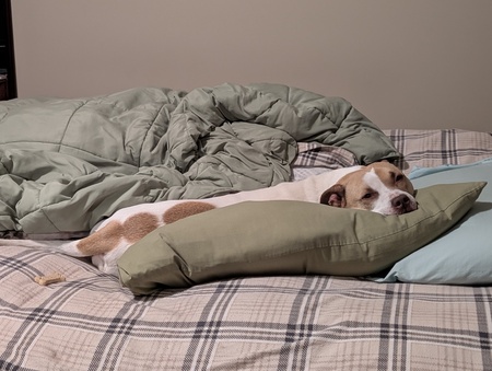 Entry image for Georgia . Clicking this image will show a larger photo