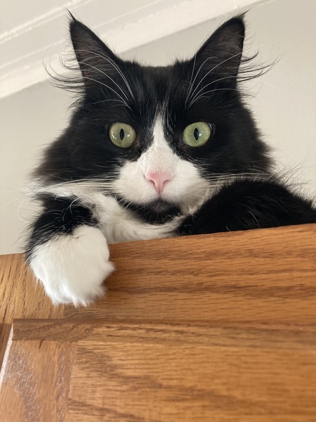 Entry image for Fred. Clicking this image will show a larger photo