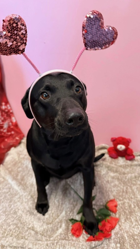 Entry image for Bea. Clicking this image will show a larger photo