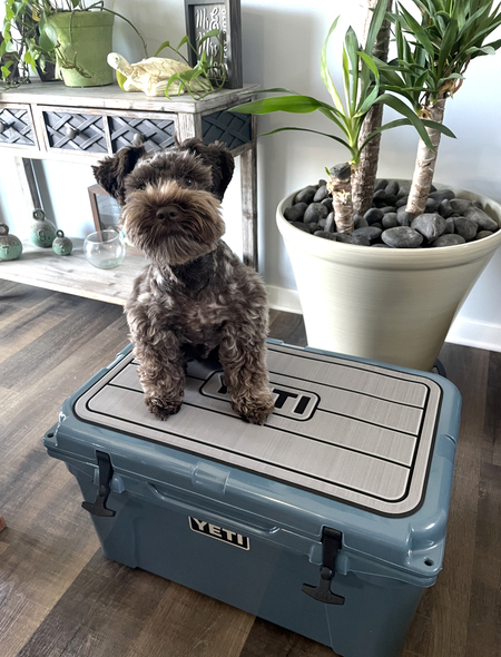 Entry image for Yeti . Clicking this image will show a larger photo