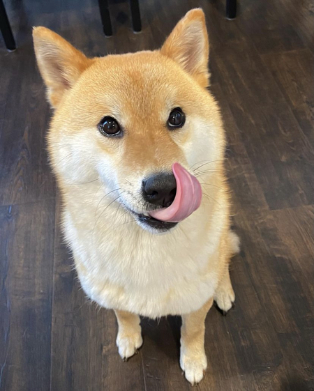 Entry image for Hops. Clicking this image will show a larger photo