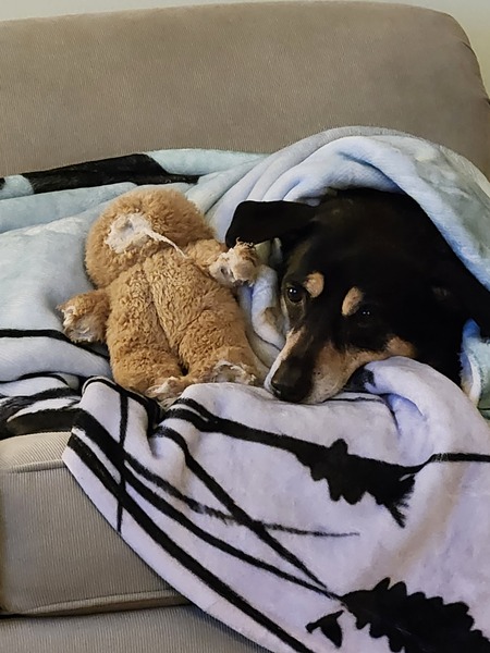 Entry image for Mariah. Clicking this image will show a larger photo