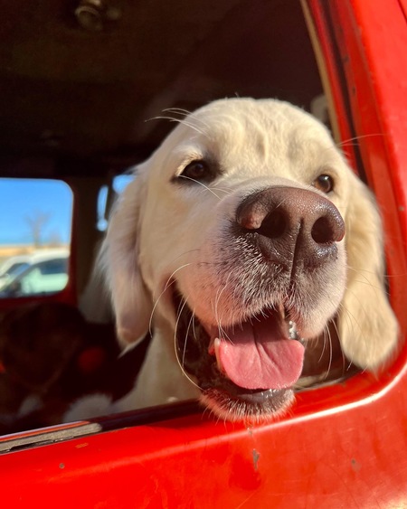 Entry image for Neil. Clicking this image will show a larger photo