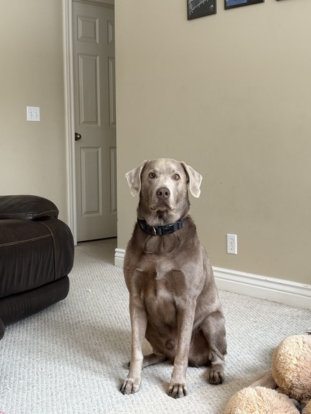 Entry image for Jimmy Butler. Clicking this image will show a larger photo