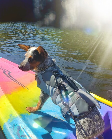 Entry image for Oban Green. Clicking this image will show a larger photo