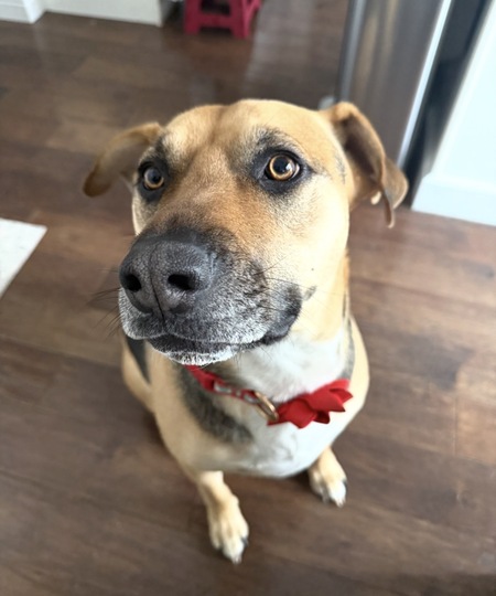 Entry image for Oakley. Clicking this image will show a larger photo