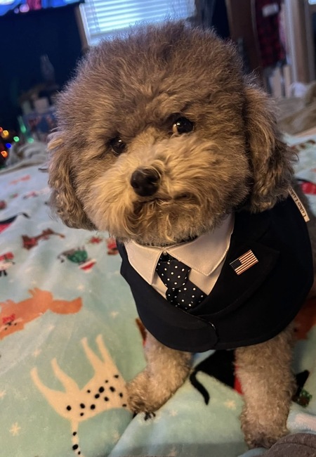 Entry image for Murray . Clicking this image will show a larger photo