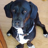 Entry image for Miles