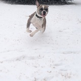 Entry image for Irie