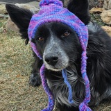 Entry image for Shae 