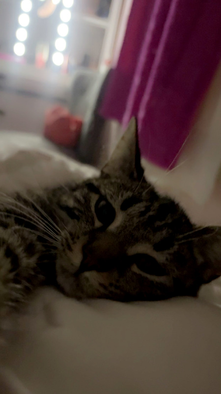 Entry image for Peaches. Clicking this image will show a larger photo