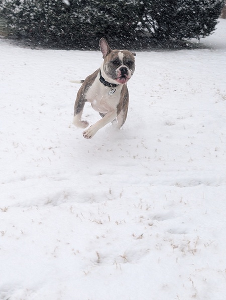 Entry image for Irie. Clicking this image will show a larger photo