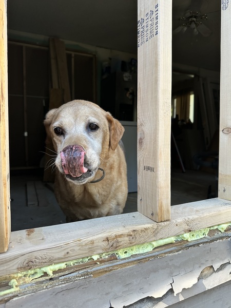 Entry image for Jake. Clicking this image will show a larger photo