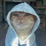 Entry image for Shaker