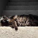 Entry image for Jack