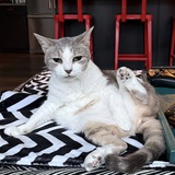 Entry image for Yuki