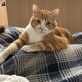 Entry image for Dr. Krieger