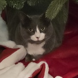 Entry image for Maddie