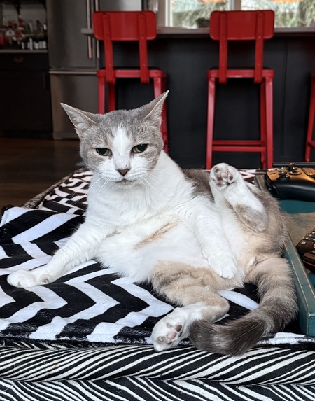 Entry image for Yuki. Clicking this image will show a larger photo