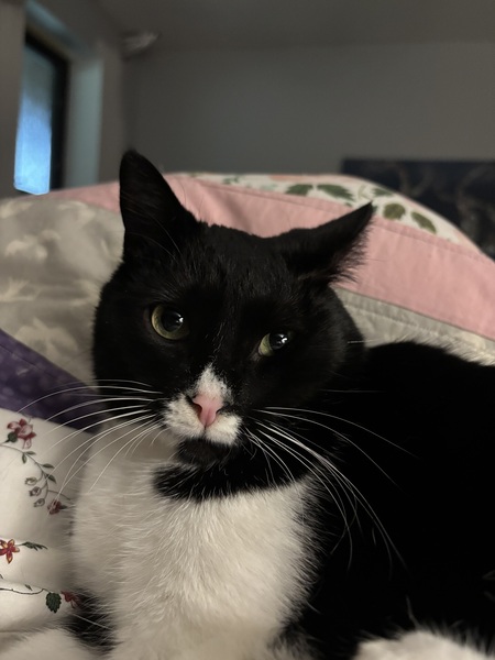 Entry image for Ross. Clicking this image will show a larger photo