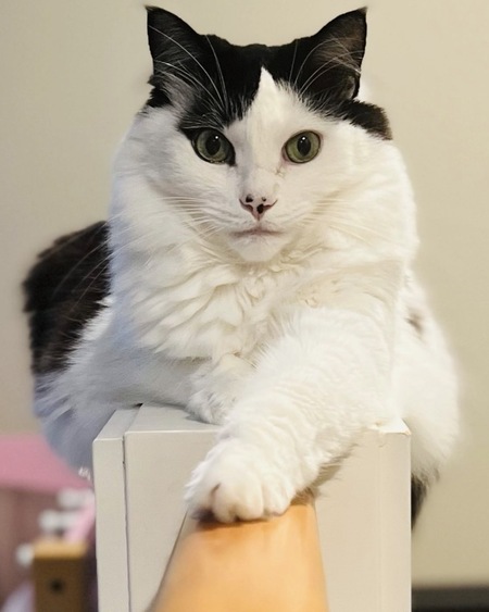 Entry image for Kyle. Clicking this image will show a larger photo