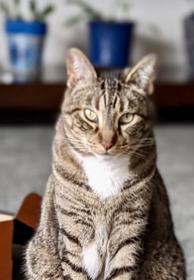 Entry image for Vegas. Clicking this image will show a larger photo