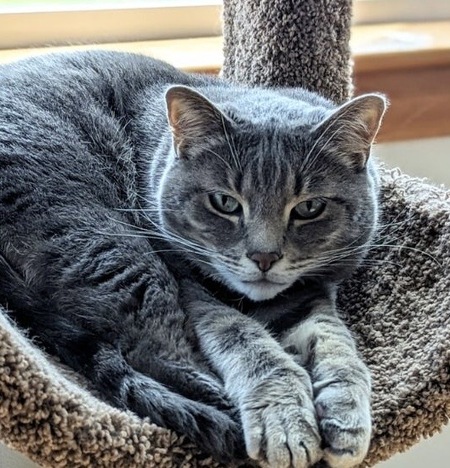 Entry image for Reno. Clicking this image will show a larger photo