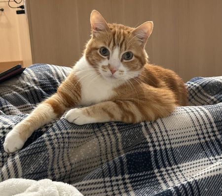 Entry image for Dr. Krieger. Clicking this image will show a larger photo